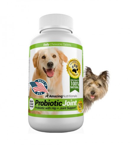 Amazing Probiotics for Dogs 100% Pure All-Natural